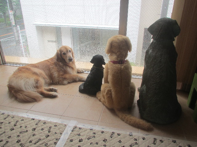 ファイル 3694-1.jpg