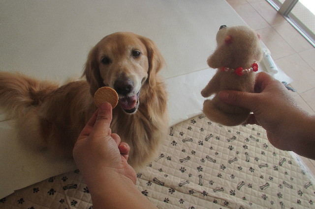 ファイル 3694-4.jpg