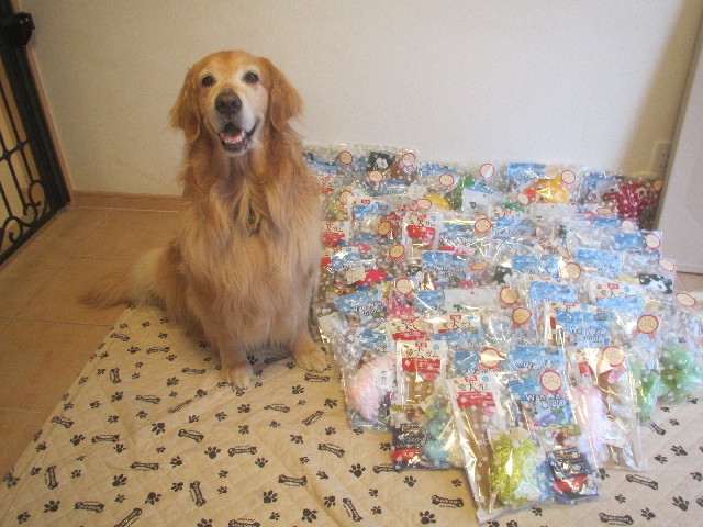 ファイル 3695-1.jpg