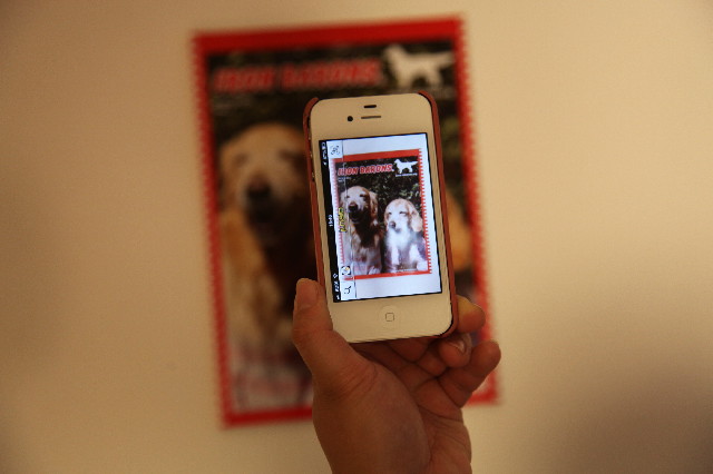 ファイル 3697-1.jpg