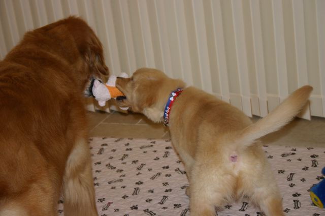 ファイル 37-1.jpg