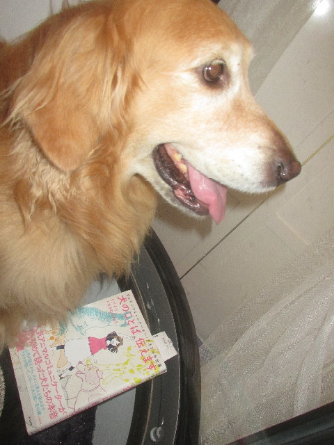 ファイル 3702-5.jpg