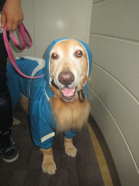 ファイル 3703-1.jpg