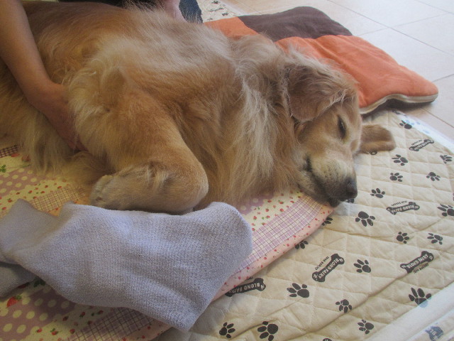 ファイル 3703-2.jpg