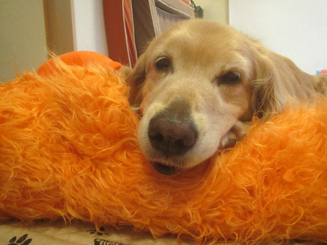 ファイル 3703-4.jpg