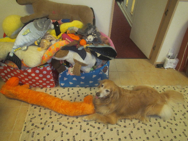 ファイル 3703-5.jpg