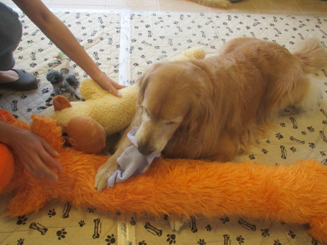 ファイル 3704-3.jpg