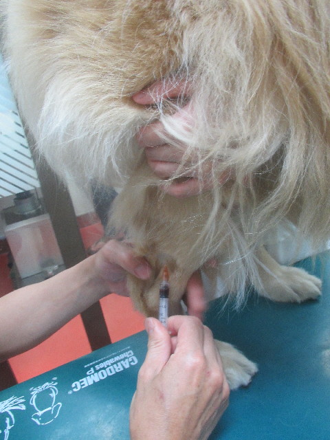 ファイル 3706-3.jpg