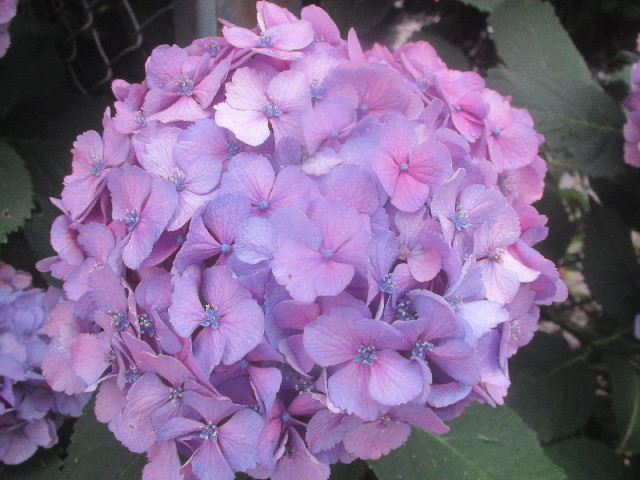 ファイル 3707-2.jpg