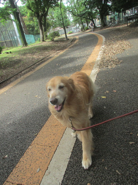 ファイル 3710-2.jpg