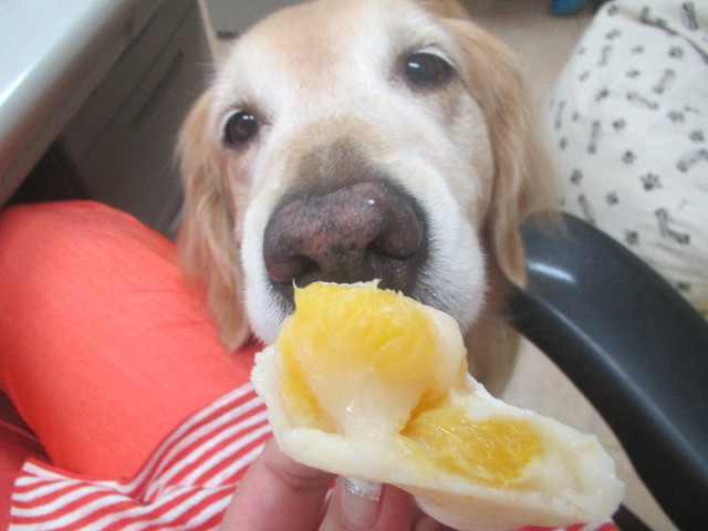 ファイル 3711-4.jpg