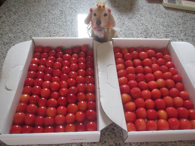 ファイル 3712-4.jpg