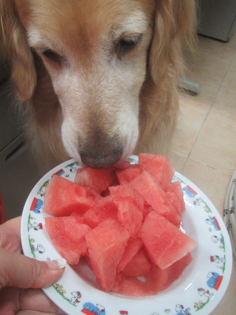 ファイル 3712-5.jpg