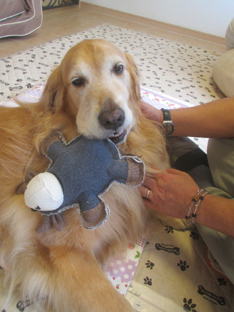 ファイル 3713-4.jpg