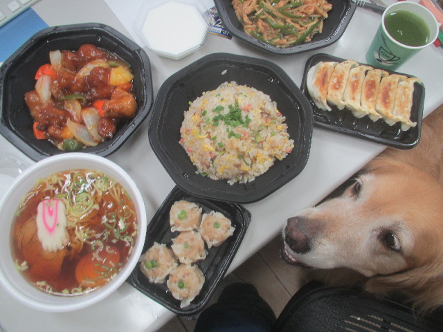 ファイル 3713-5.jpg