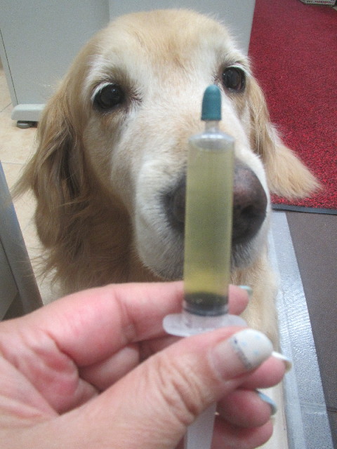 ファイル 3714-1.jpg