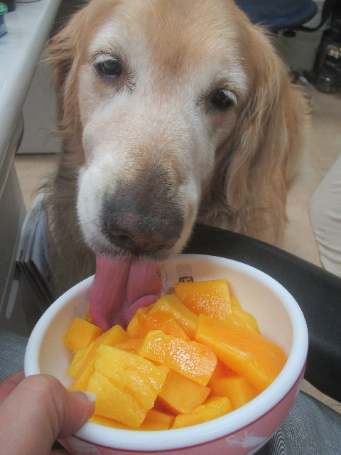 ファイル 3714-4.jpg