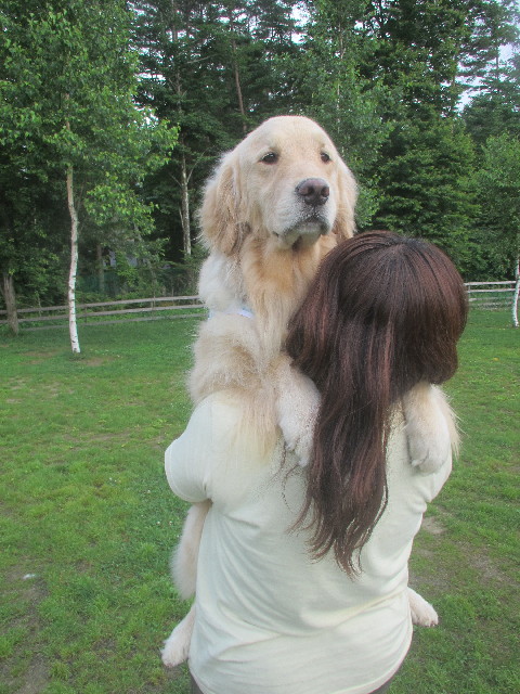 ファイル 3716-2.jpg