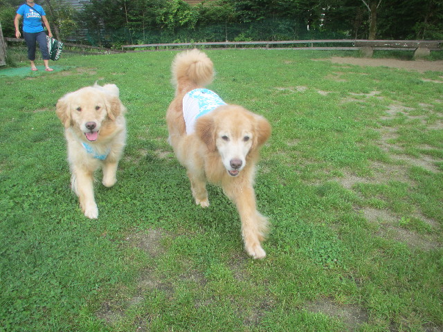 ファイル 3716-3.jpg