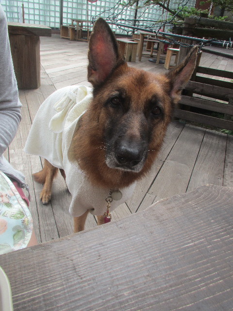 ファイル 3716-5.jpg