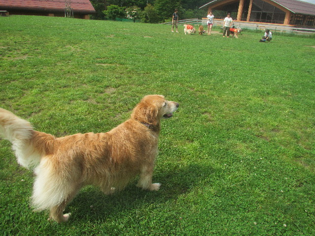 ファイル 3717-5.jpg