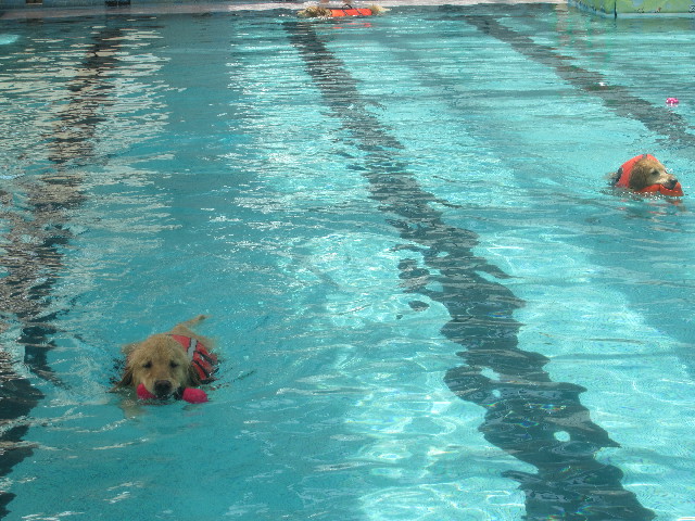 ファイル 3718-1.jpg