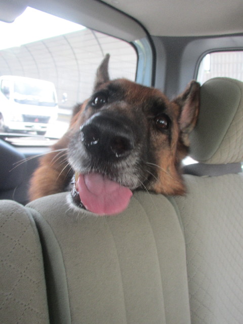 ファイル 3718-4.jpg