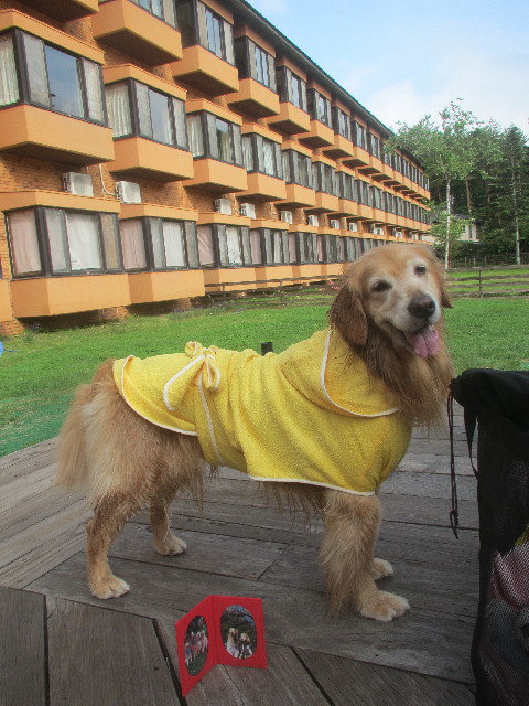 ファイル 3718-5.jpg