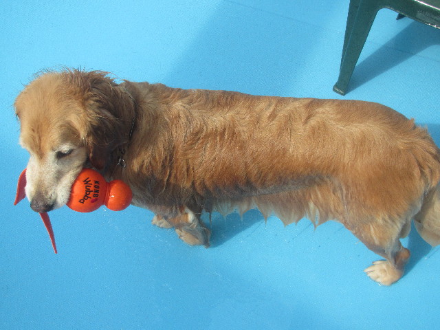 ファイル 3719-2.jpg