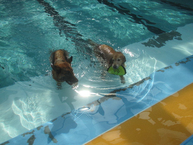 ファイル 3719-5.jpg