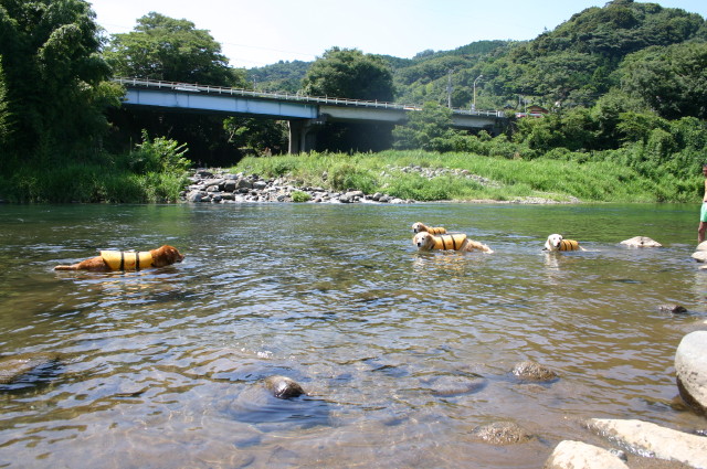 ファイル 372-1.jpg