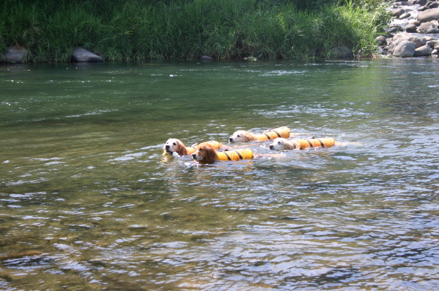 ファイル 372-2.jpg