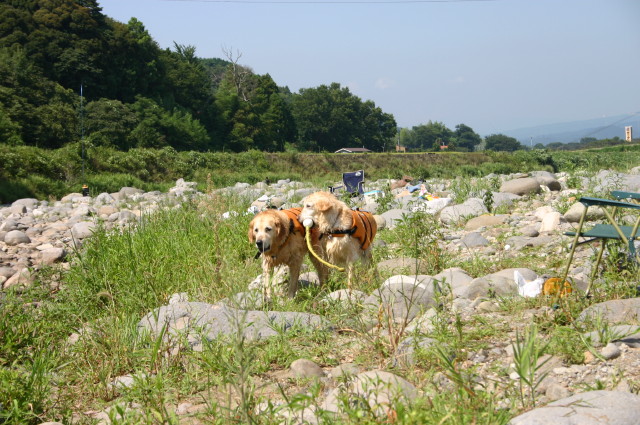 ファイル 372-3.jpg