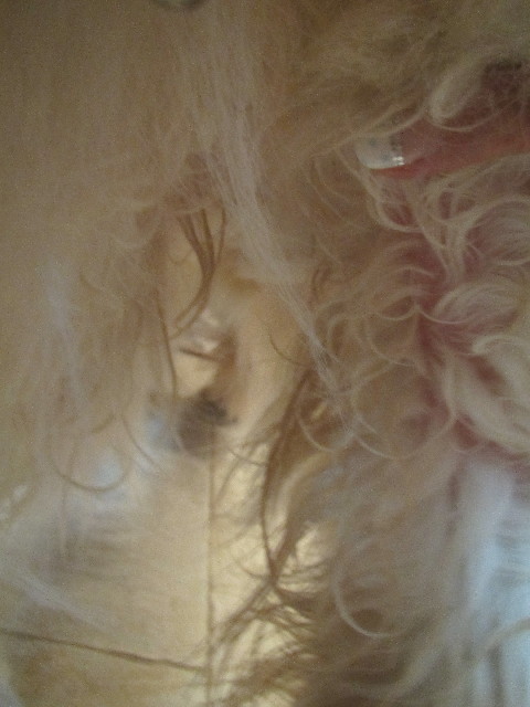 ファイル 3720-1.jpg