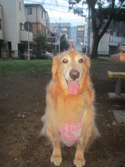 ファイル 3720-4.jpg