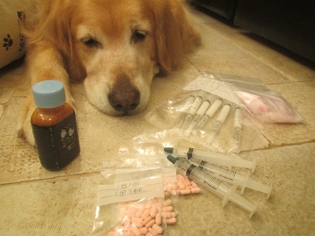 ファイル 3720-5.jpg