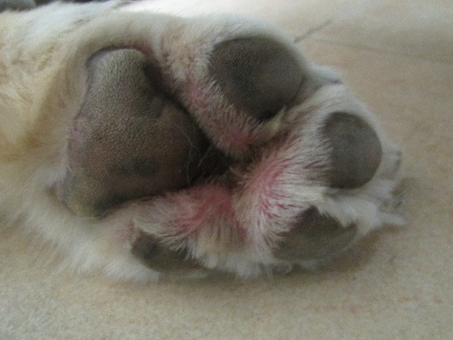 ファイル 3721-2.jpg