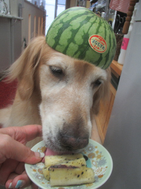 ファイル 3721-5.jpg