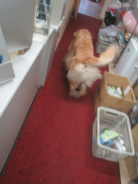 ファイル 3725-2.jpg