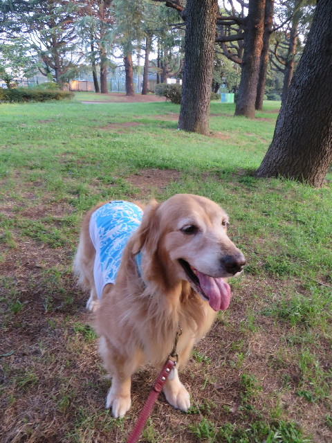 ファイル 3727-2.jpg