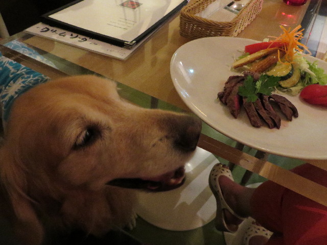 ファイル 3727-5.jpg