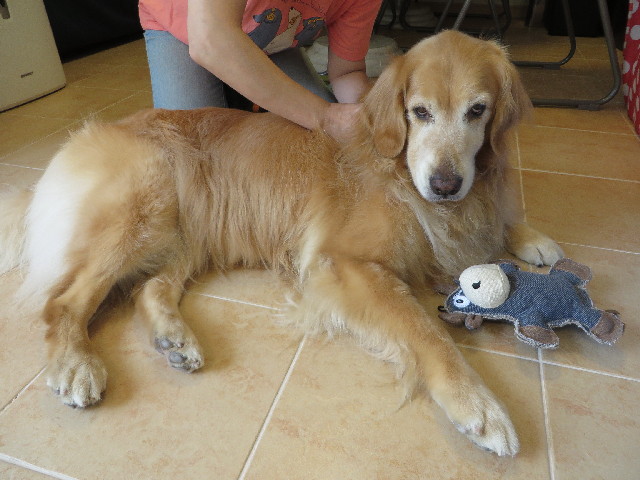 ファイル 3731-1.jpg