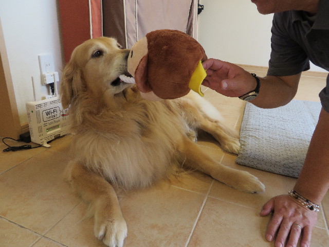 ファイル 3733-1.jpg