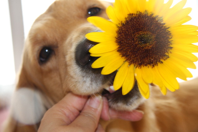 ファイル 3735-3.jpg