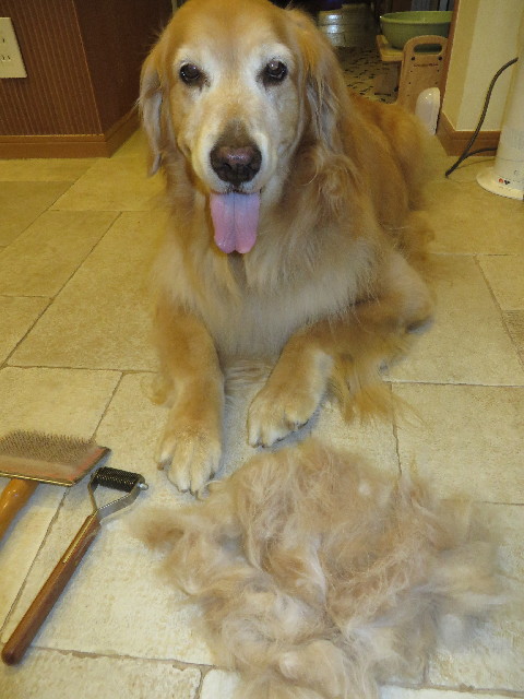 ファイル 3739-1.jpg