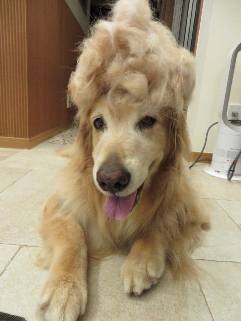 ファイル 3739-2.jpg