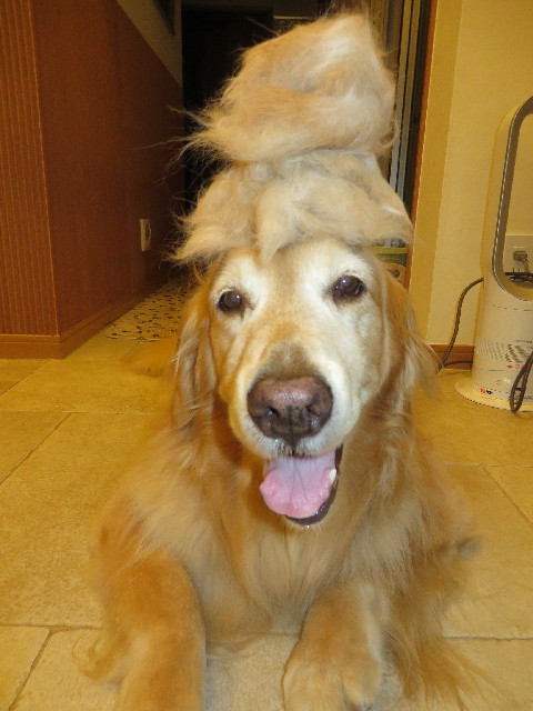 ファイル 3739-3.jpg