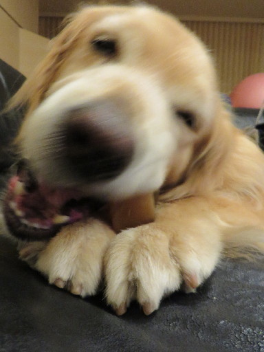 ファイル 3739-4.jpg