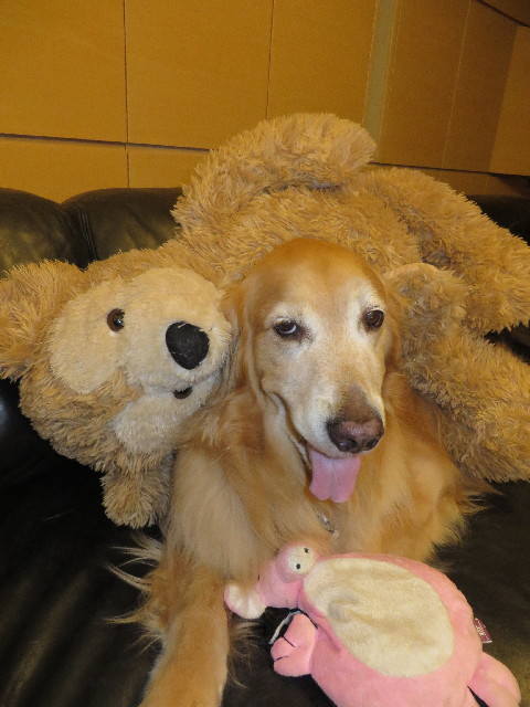 ファイル 3739-5.jpg