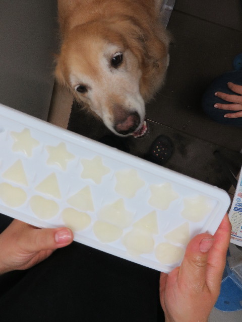 ファイル 3742-2.jpg